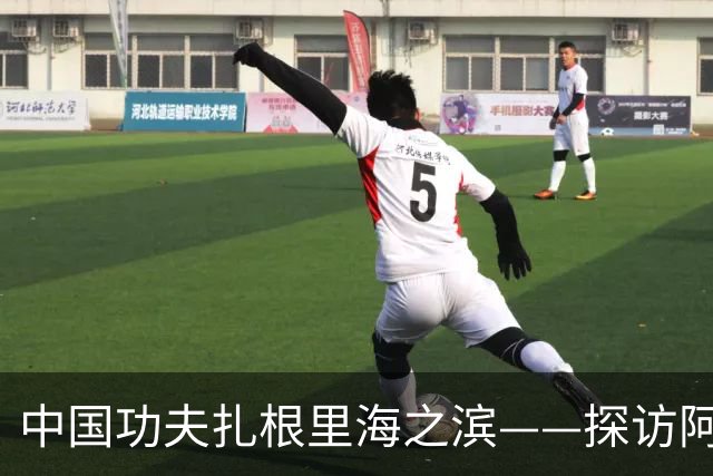 中国功夫扎根里海之滨——探访阿塞拜疆咏春拳联合会